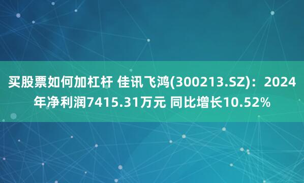 买股票如何加杠杆 佳讯飞鸿(300213.SZ)：2024年净利润7415.31万元 同比增长10.52%
