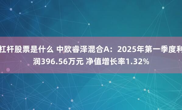 杠杆股票是什么 中欧睿泽混合A：2025年第一季度利润396.56万元 净值增长率1.32%