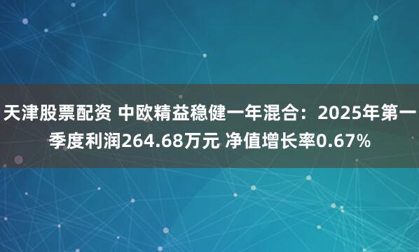 天津股票配资 中欧精益稳健一年混合：2025年第一季度利润264.68万元 净值增长率0.67%