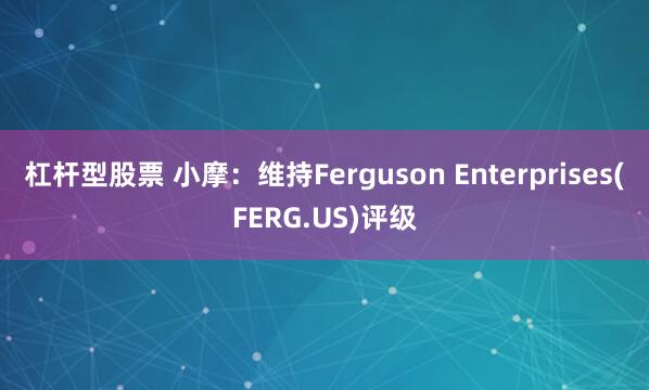 杠杆型股票 小摩：维持Ferguson Enterprises(FERG.US)评级