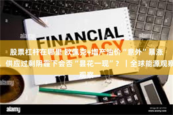股票杠杆在哪里 欧佩克+增产油价“意外”暴涨，供应过剩阴霾下会否“昙花一现”？｜全球能源观察